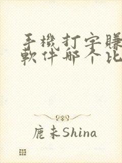 手机打字赚钱的软件哪个比较靠谱