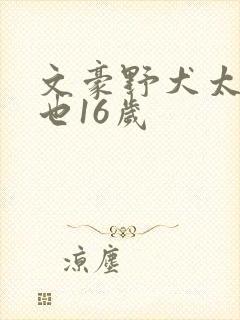 文豪野犬太宰中也16岁