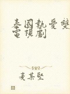 泰国执爱双男主电视剧