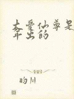 大爱仙尊是哪一年出的