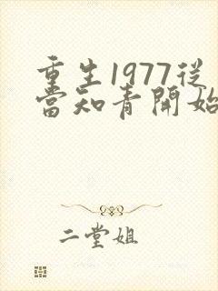 重生1977从当知青开始