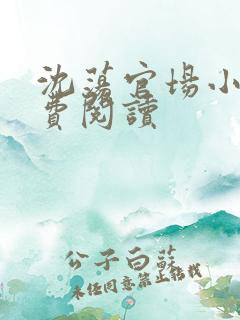 沈荡官场小说免费阅读