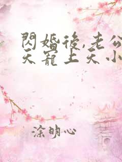 闪婚后,老公每天宠上天小说版