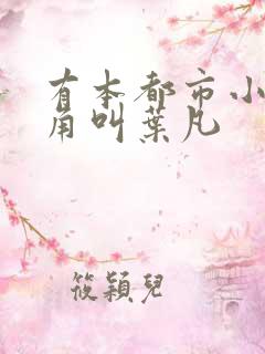 有本都市小说主角叫叶凡