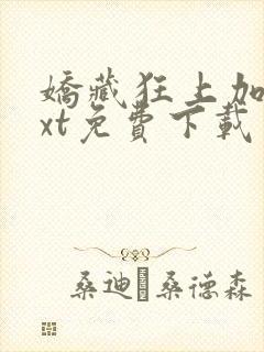 娇藏狂上加狂txt免费下载