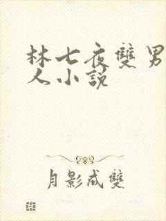 林七夜双男主同人小说