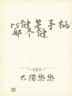 rs键是手柄的哪个键