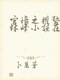 官场之权势滔天林峰小说在线阅读