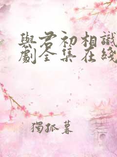 与君初相识电视剧全集在线观看