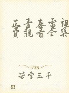 正青春电视剧免费观看全集西瓜