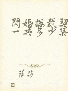 闪婚总裁契约妻一共多少集