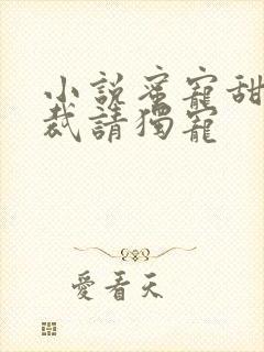 小说蜜宠甜妻总裁请独宠