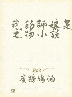 我的师娘是大凶之物小说