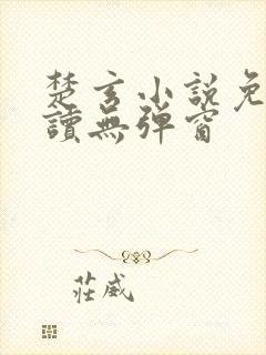 楚玄小说免费阅读无弹窗