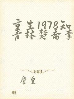 重生1978知青林楚乔李向南最新章节