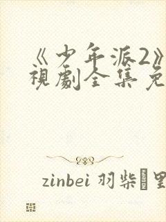 《少年派2》电视剧全集免费