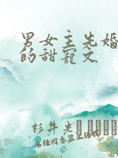 男女主先婚后爱的甜宠文
