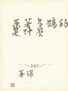 原著多鹤的结局是什么