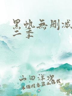 黑帆无删减版第二季