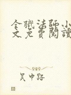 全职法师小说原文免费阅读