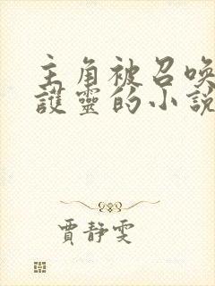 主角被召唤成守护灵的小说