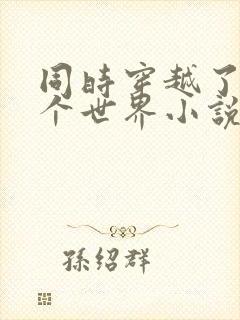 同时穿越了99个世界小说