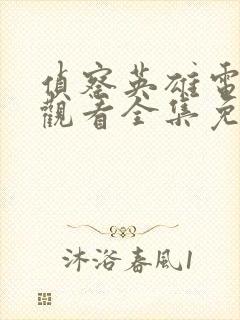 侦察英雄电视剧观看全集免费