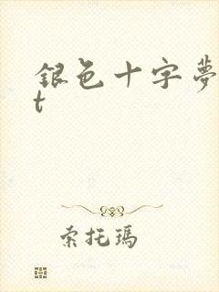 银色十字梦txt