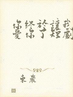 你终于让我不再爱你了短剧