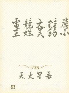 电竞文推荐双男主姓吴的小说