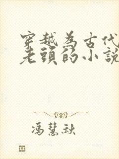 穿越为古代农家老头的小说