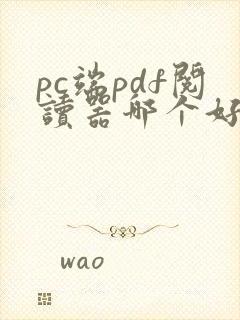 pc端pdf阅读器哪个好用