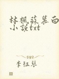 林枫苏慕白穿越小说txt
