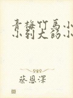 青梅竹马小说从小到大的小说