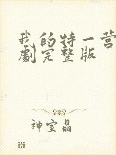 我的特一营电视剧完整版