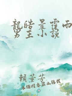 龙皓晨霍雨浩双男主小说