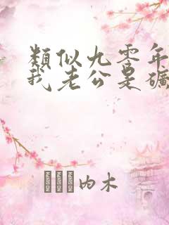 类似九零年代之我老公是矿业大亨小说