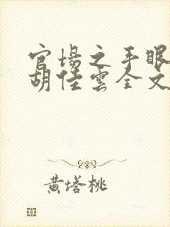 官场之手眼通天胡佳云全文在线阅读