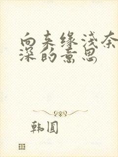 向来缘浅奈何情深的意思