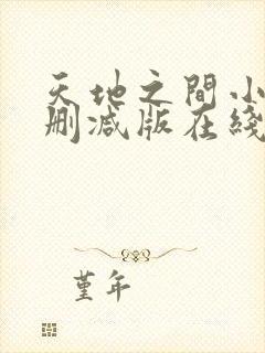 天地之间小说无删减版在线阅读