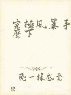 究极风暴手游怎么下