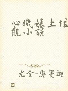 心机婊上位无三观小说