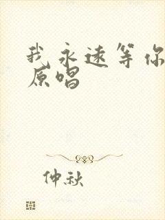 我永远等你歌曲原唱