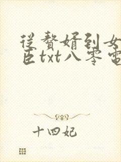 从赘婿到女帝宠臣txt八零电子书