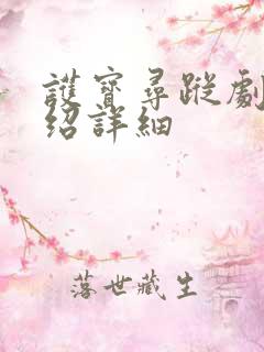 护宝寻踪剧情介绍详细