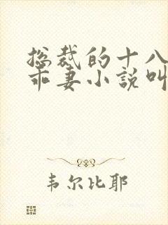 总裁的十八岁乖乖妻小说叫什么