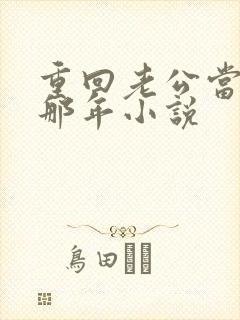 重回老公当校草那年小说