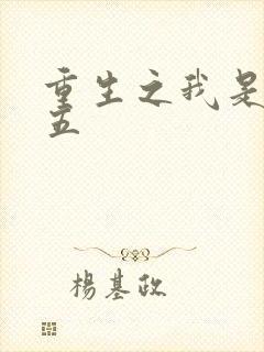 重生之我是王妈五