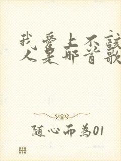 我爱上不该爱的人是哪首歌的歌词