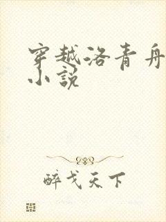 穿越洛青舟主角小说